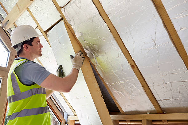 Best Eco-Friendly or Green Insulation Solutions  in North Branch, MI